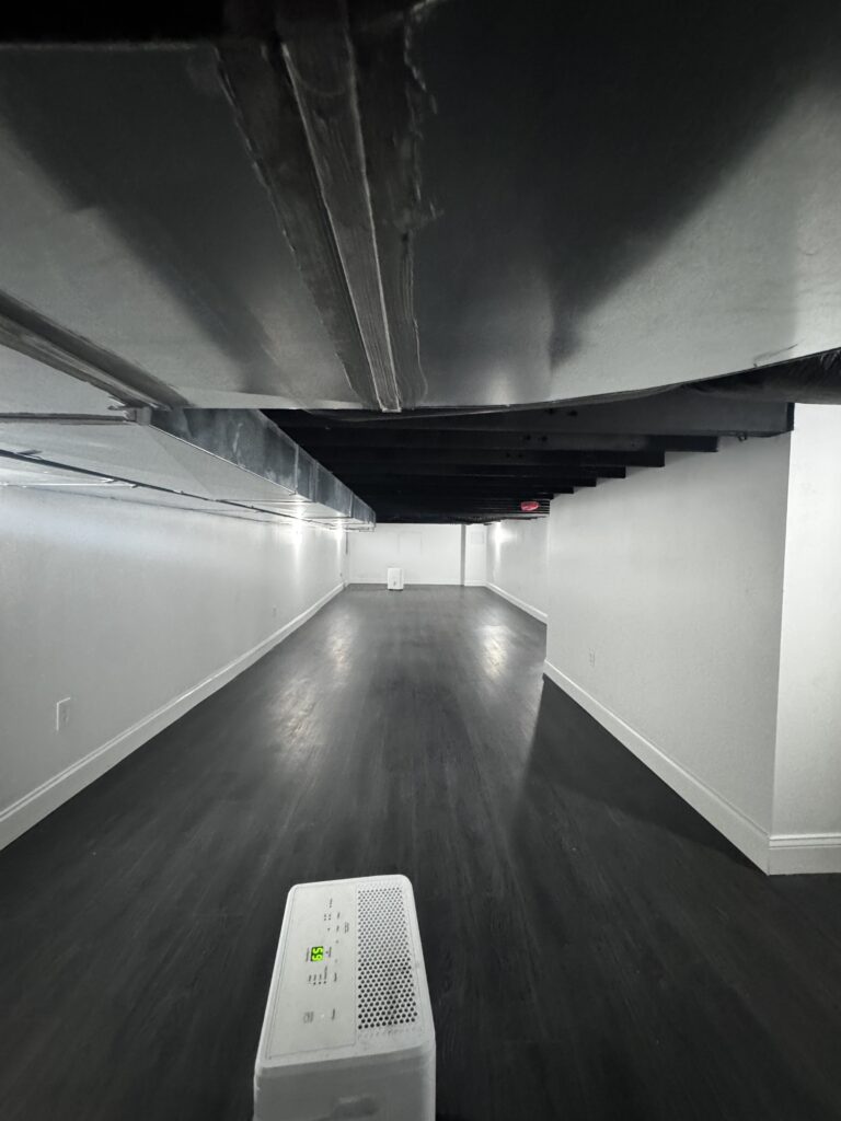 Basement (full view)